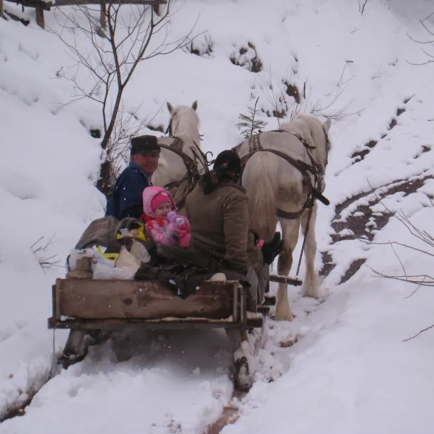 Two Horses