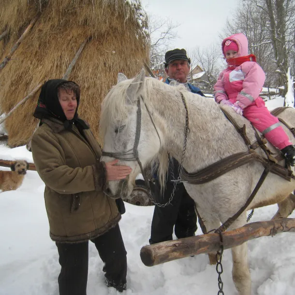 Sled