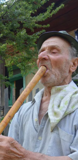 567