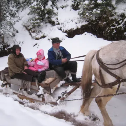 horse and cart going through the snow